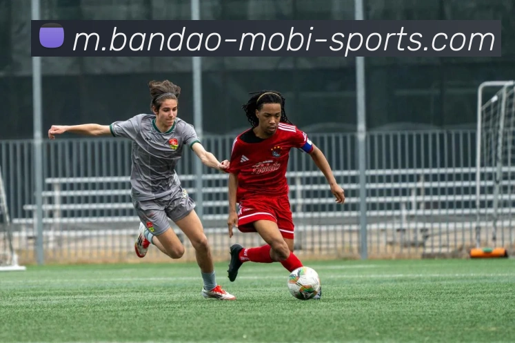 App Interface Preview