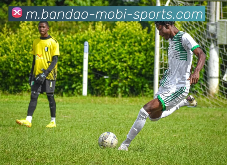 半岛体育APP 封面图